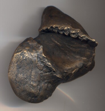 E.   h.10 cm